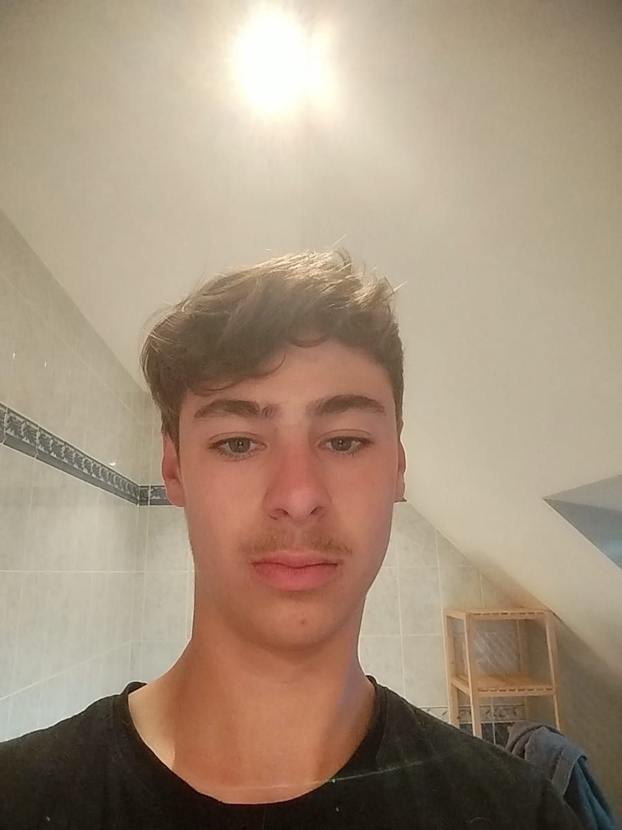 Profil de Adamo